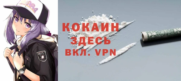 крисы Елабуга