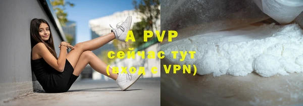 крисы Елабуга