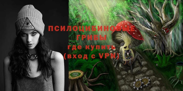 крисы Елабуга