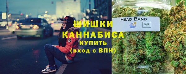 крисы Елабуга