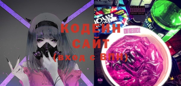 крисы Елабуга