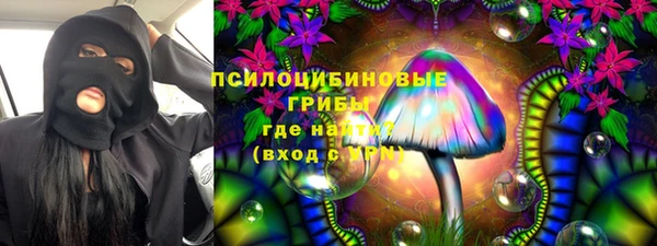крисы Елабуга